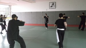 hunggarnancy-artsmartiaux-wushu-kungfu-ericbourbonnais-18janvier2015-15  